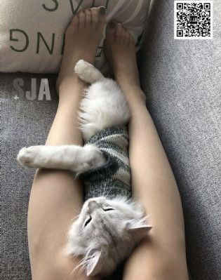 久久久久久久久久一次看十五分钟_国产剧电视剧在线观看
