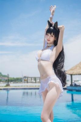 黄色毛片视频网站播放器在线观看_1080免费全集观看