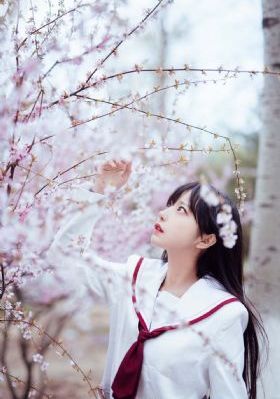 97久草_西瓜视频在线观看